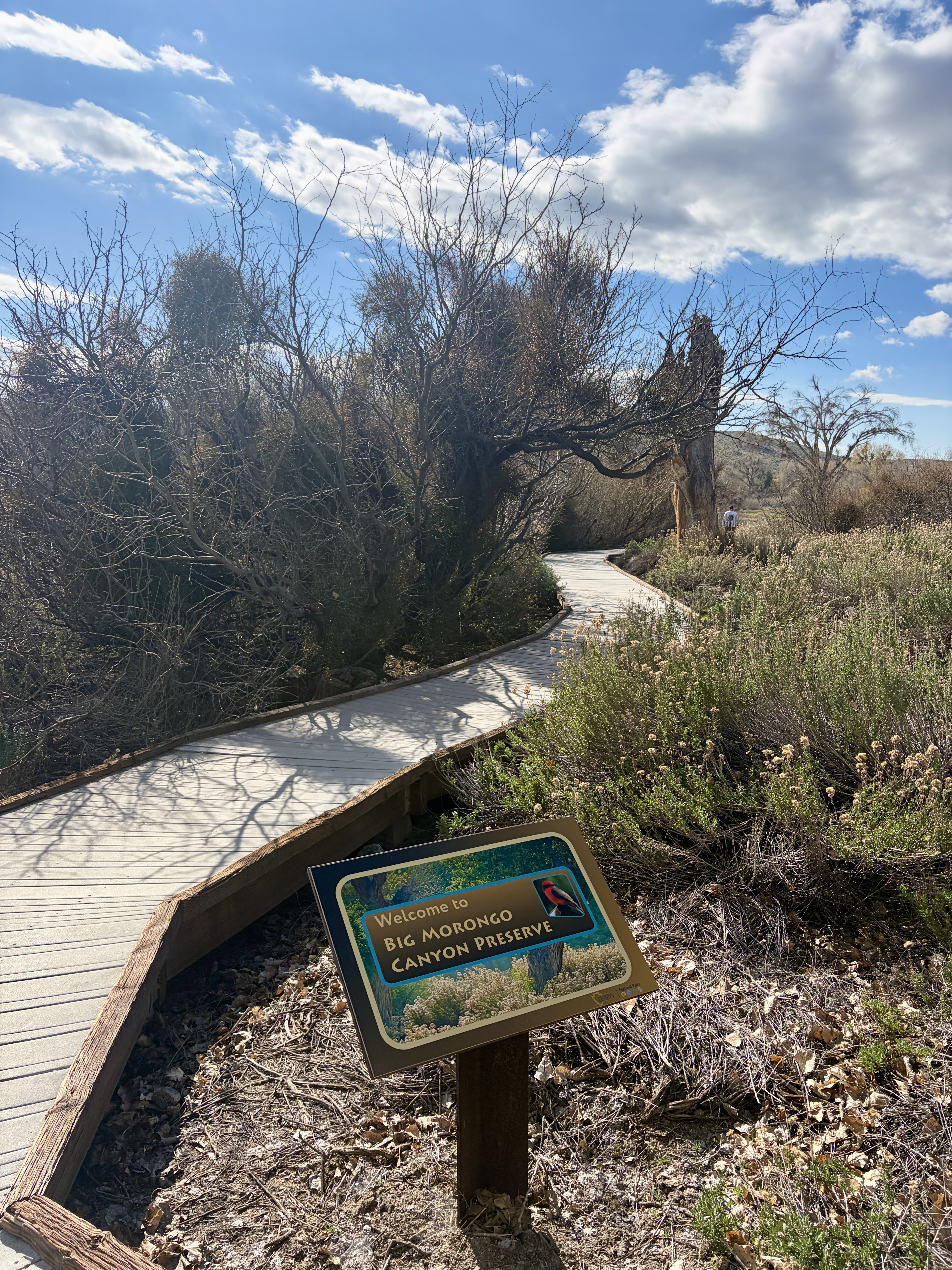 Big Morongo Canyon Preserve