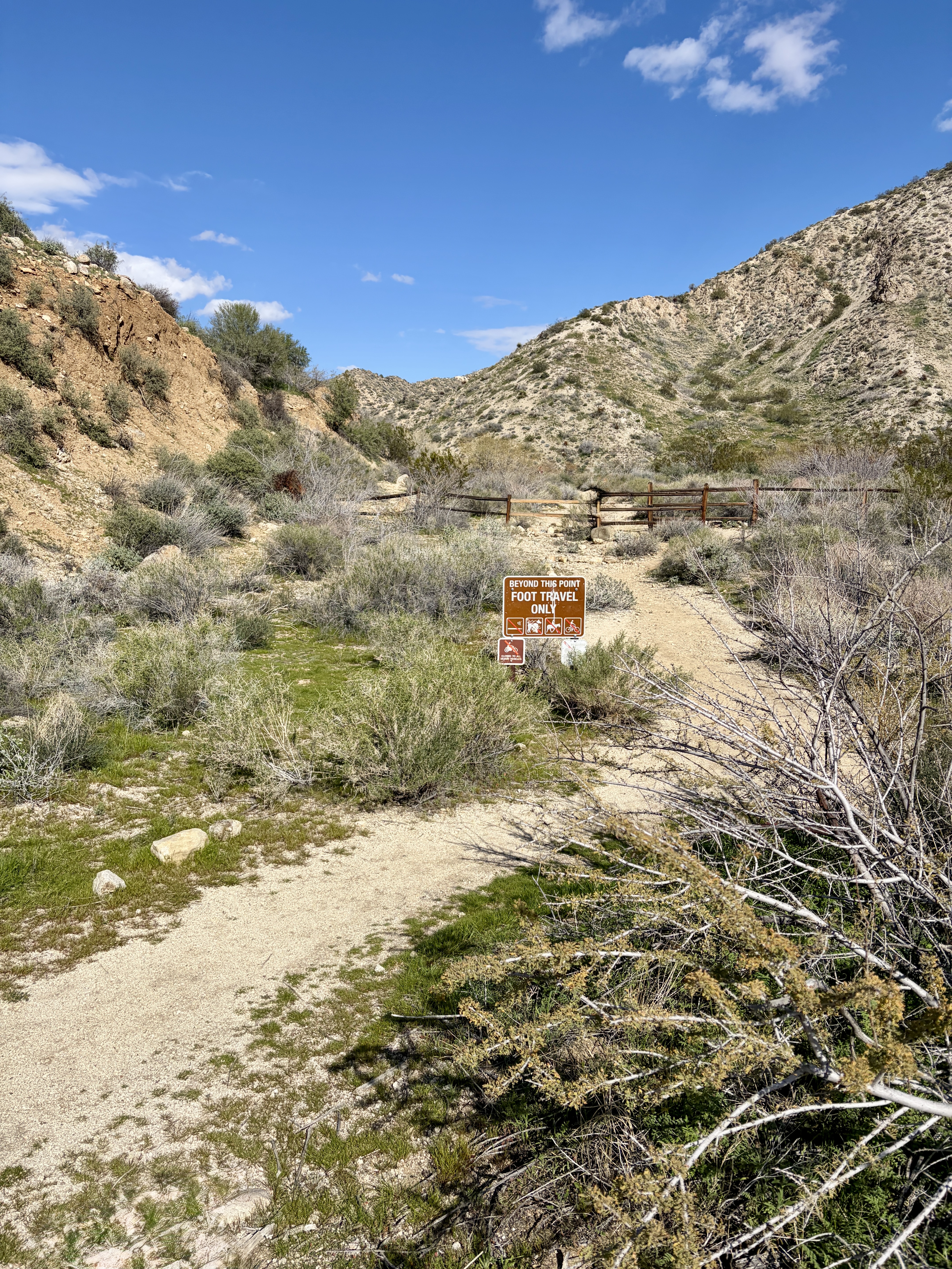 Canyon Trail – Big Morongo Canyon Trail