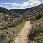 West Canyon Trail – Big Morongo Preserve