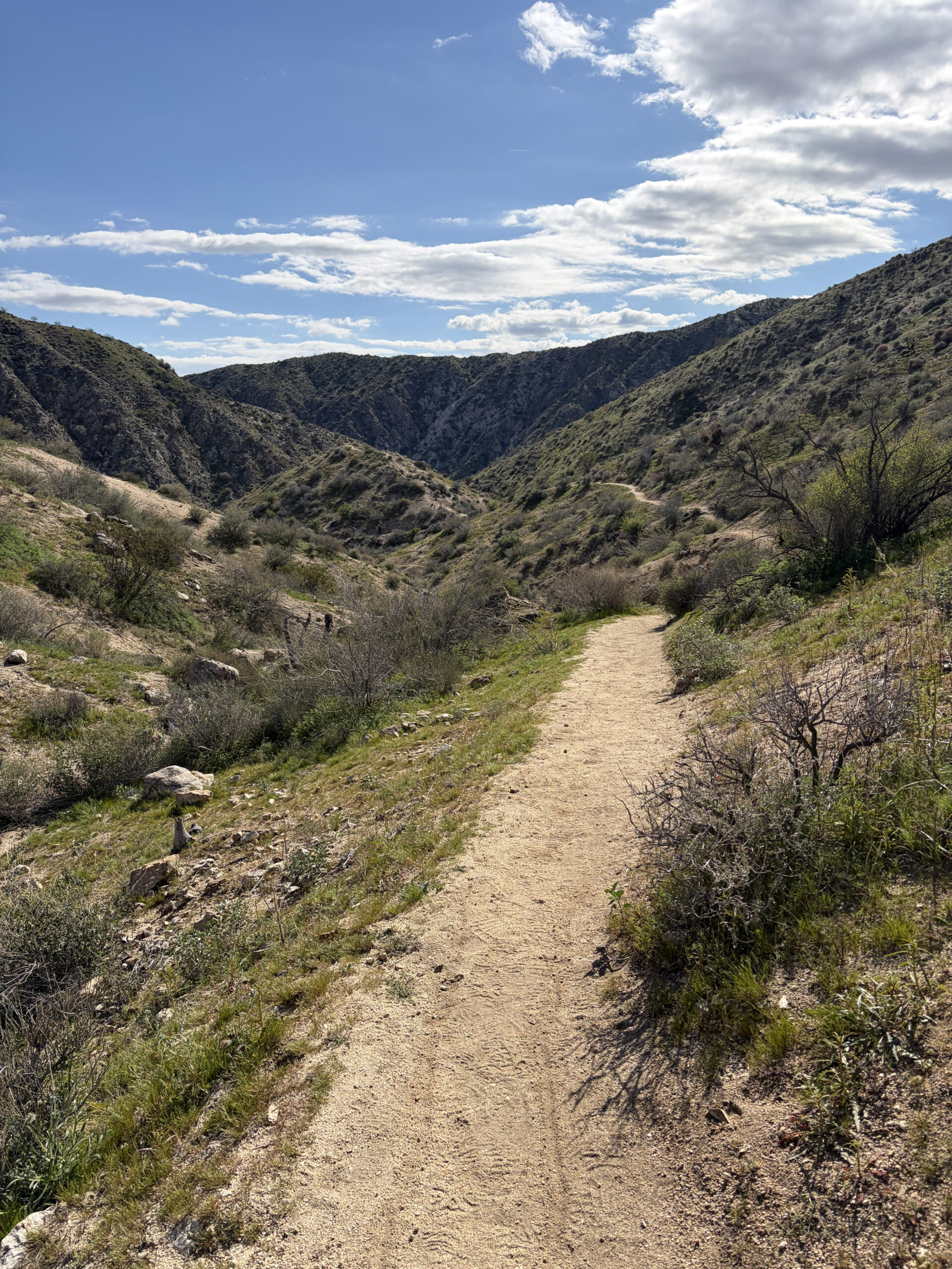 West Canyon Trail – Big Morongo Preserve